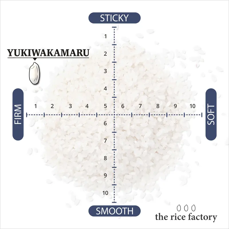 Yamagata Yukiwakamaru-   - 2024 Crop