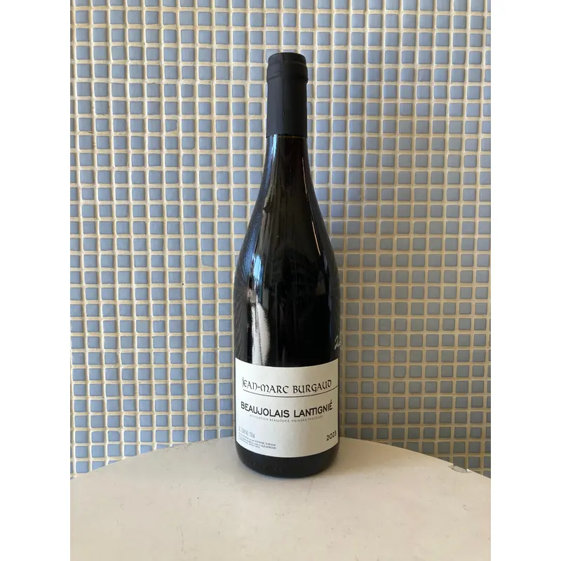 jean-marc burgaud les vignes de lantignie 23