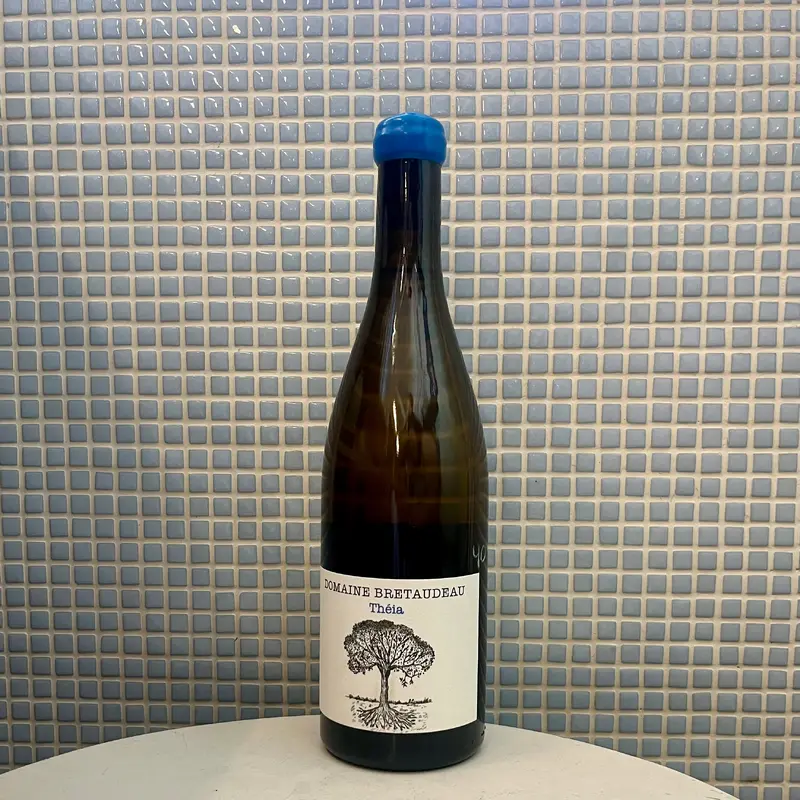 domaine bretaudeau theia muscadet