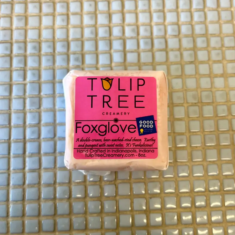 tulip tree foxglove*