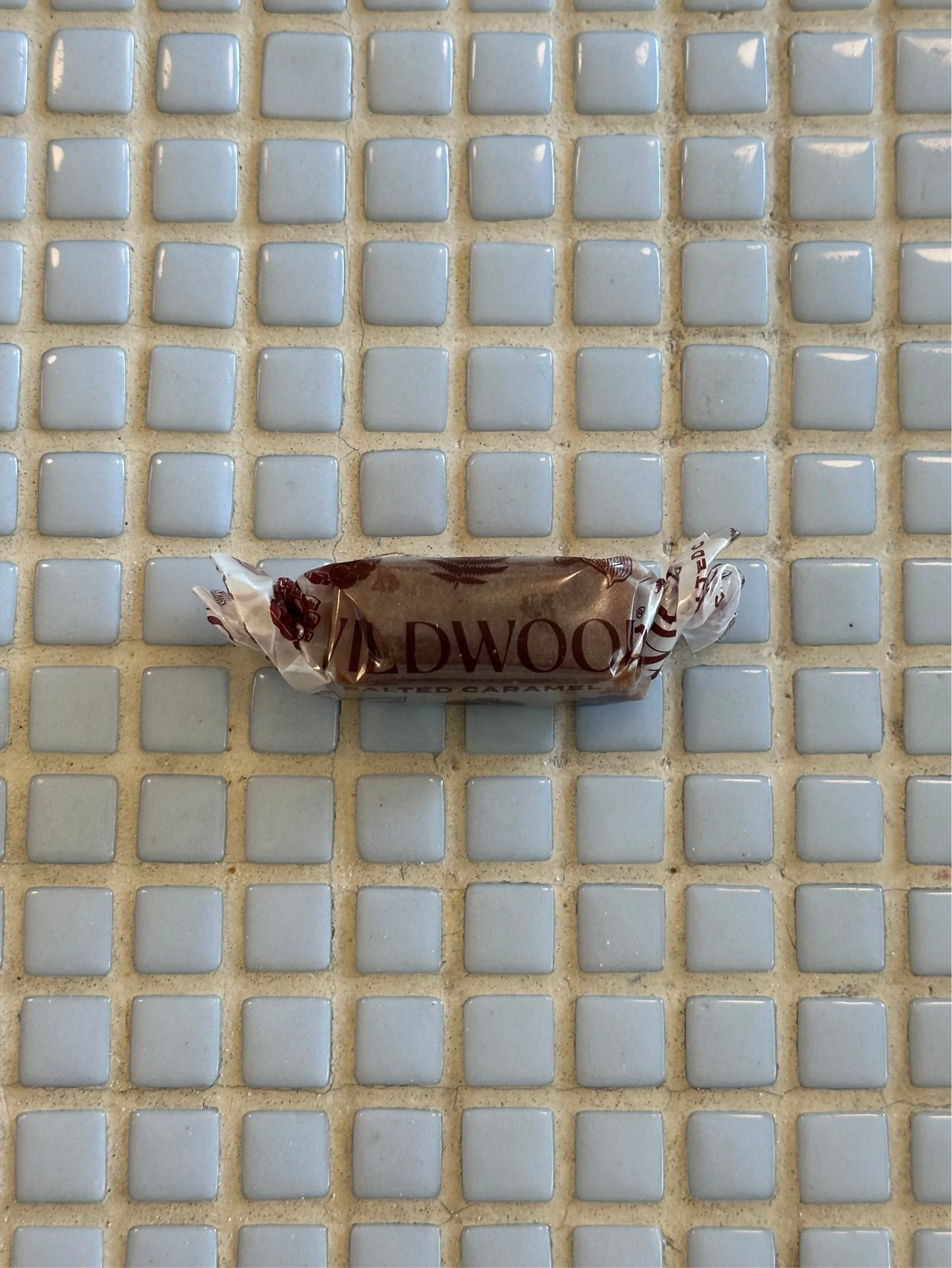 wildwood salted caramel