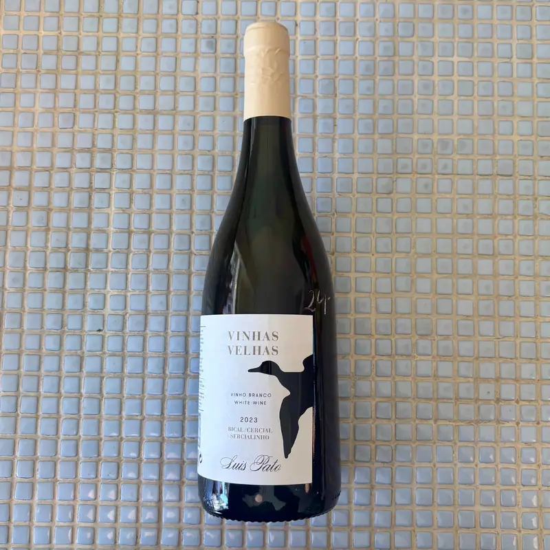 luis pato vinhas velhas white bical '23
