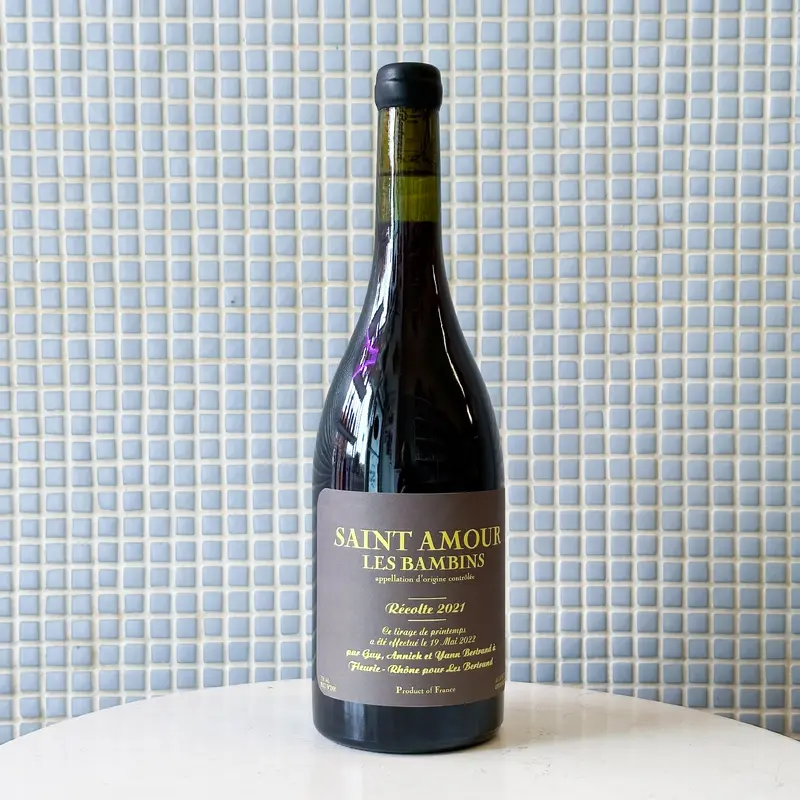 yann bertrand saint amour les bambins red wine 2021