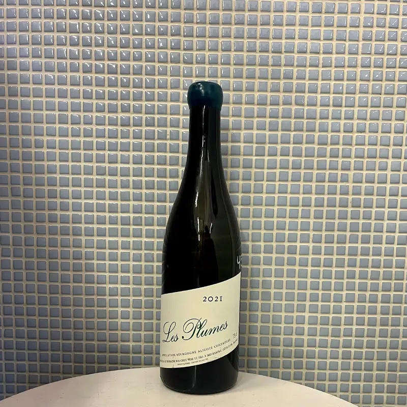 rougeot bourgogne aligote les plumes sans soufre