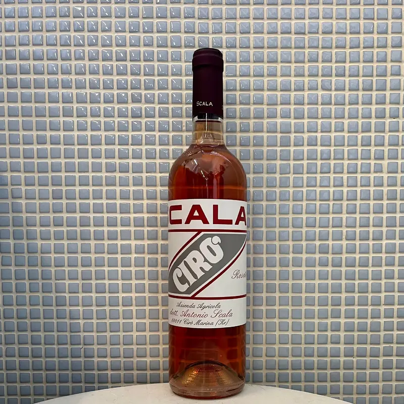 scala ciro rosato '23