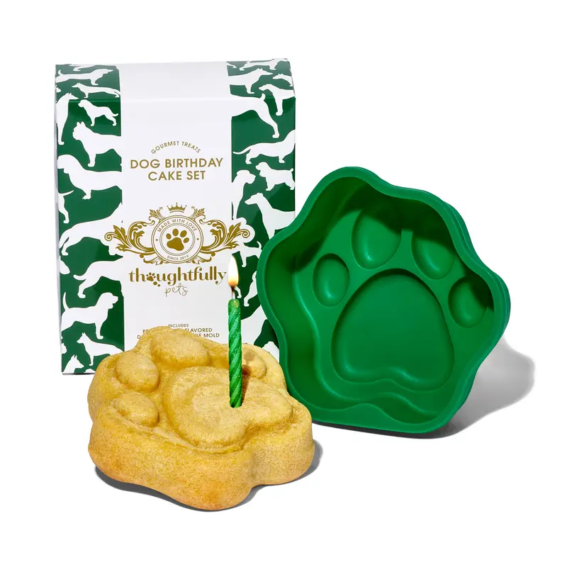 DIY Dog Birthday Cake Set